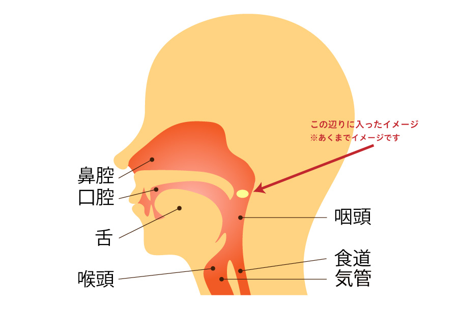 簡単 錠剤 薬 が鼻に入った 実際に取れた方法はコレ ハナの知りたがり情報局