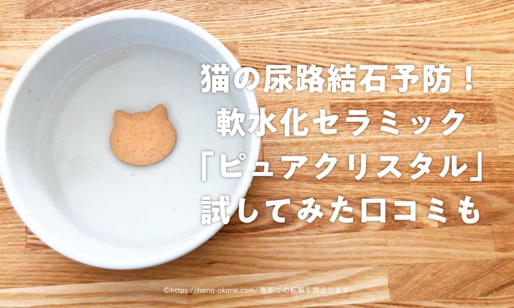 猫の尿路結石予防 軟水化セラミック ピュアクリスタル お皿にpon 試してみた口コミも ハナの知りたがりブログ